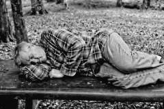 Homeless man sleeping on bench